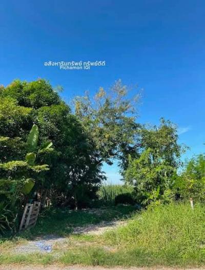 ที่ดิน 2200000 ปทุมธานี ธัญบุรี ประชาธิปัตย์