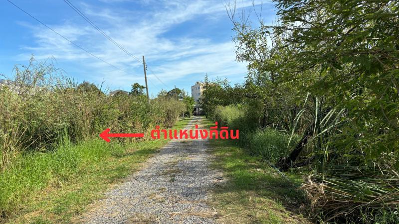 ที่ดิน 7260000 กรุงเทพมหานคร เขตประเวศ ประเวศ