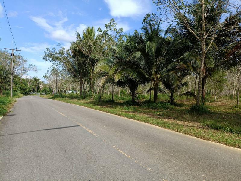 ที่ดิน 121500000 พังงา ท้ายเหมือง ท้ายเหมือง