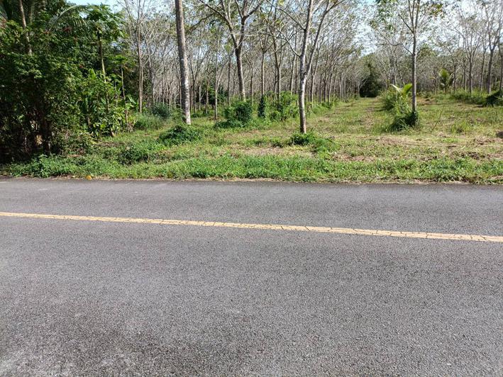 ที่ดิน 121500000 พังงา ท้ายเหมือง ท้ายเหมือง