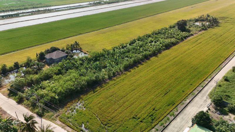 ที่ดิน 15880000 ปทุมธานี ลาดหลุมแก้ว ระแหง