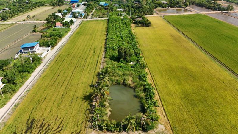 ที่ดิน 15880000 ปทุมธานี ลาดหลุมแก้ว ระแหง