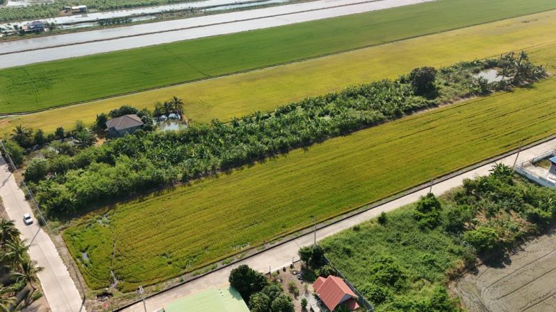 ที่ดิน 15880000 ปทุมธานี ลาดหลุมแก้ว ระแหง