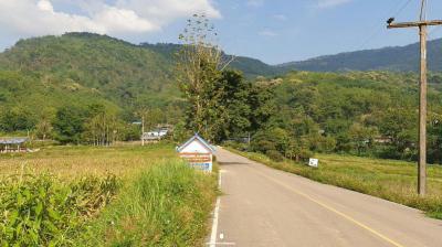 ที่ดิน 55000 พะเยา เชียงคำ แม่ลาว