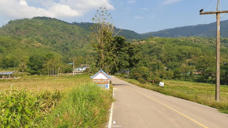 ที่ดิน 55000 พะเยา เชียงคำ แม่ลาว
