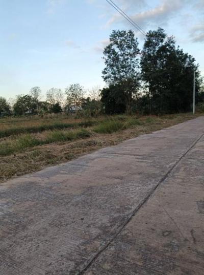 ที่ดิน 99000 อุดรธานี บ้านผือ หายโศก