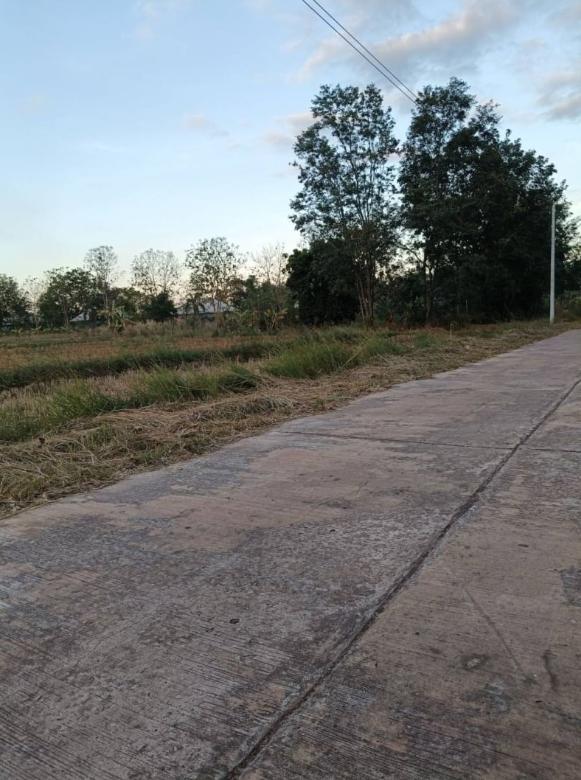 ที่ดิน 99000 อุดรธานี บ้านผือ หายโศก