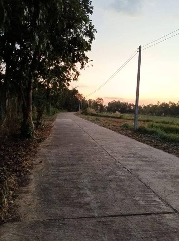 ที่ดิน 99000 อุดรธานี บ้านผือ หายโศก