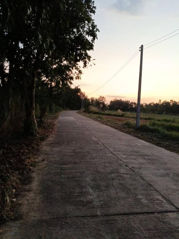 ที่ดิน 99000 อุดรธานี บ้านผือ หายโศก
