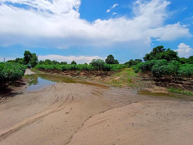 ที่ดิน 3900000 ชลบุรี ศรีราชา บึง
