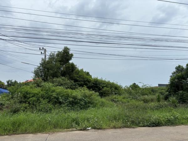 ที่ดิน 45600000 ประจวบคีรีขันธ์ หัวหิน หัวหิน
