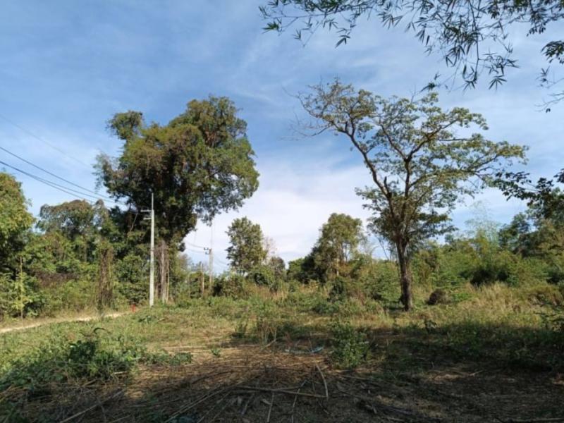 ที่ดิน 590000 บึงกาฬ บึงกาฬ วิศิษฐ์