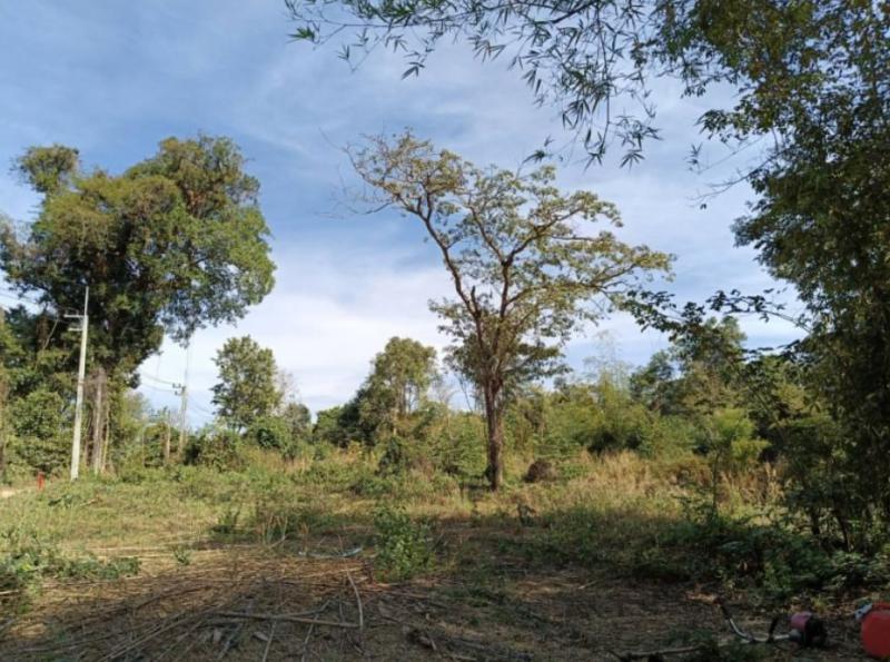 ที่ดิน 590000 บึงกาฬ บึงกาฬ วิศิษฐ์