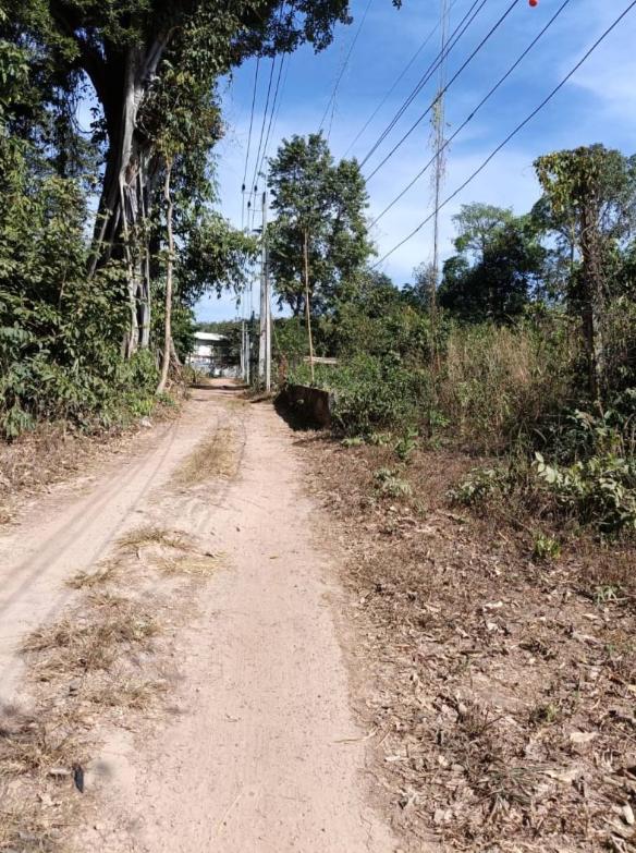 ที่ดิน 590000 บึงกาฬ บึงกาฬ วิศิษฐ์