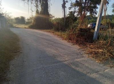 ที่ดิน 269000 ตาก เมืองตาก ไม้งาม