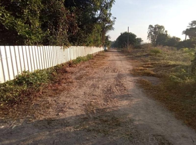 ที่ดิน 269000 ตาก เมืองตาก ไม้งาม