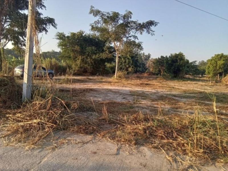 ที่ดิน 269000 ตาก เมืองตาก ไม้งาม