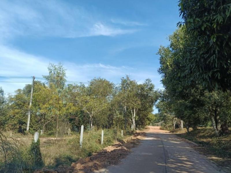 ที่ดิน 250000 บึงกาฬ บึงกาฬ โคกก่อง