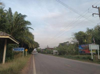 ที่ดิน 300000 หนองคาย ท่าบ่อ นาข่า