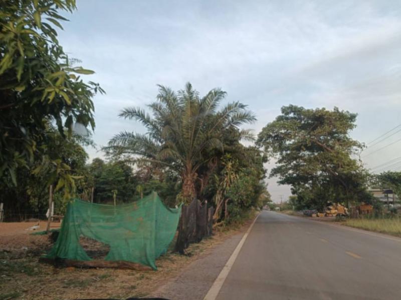 ที่ดิน 300000 หนองคาย ท่าบ่อ นาข่า