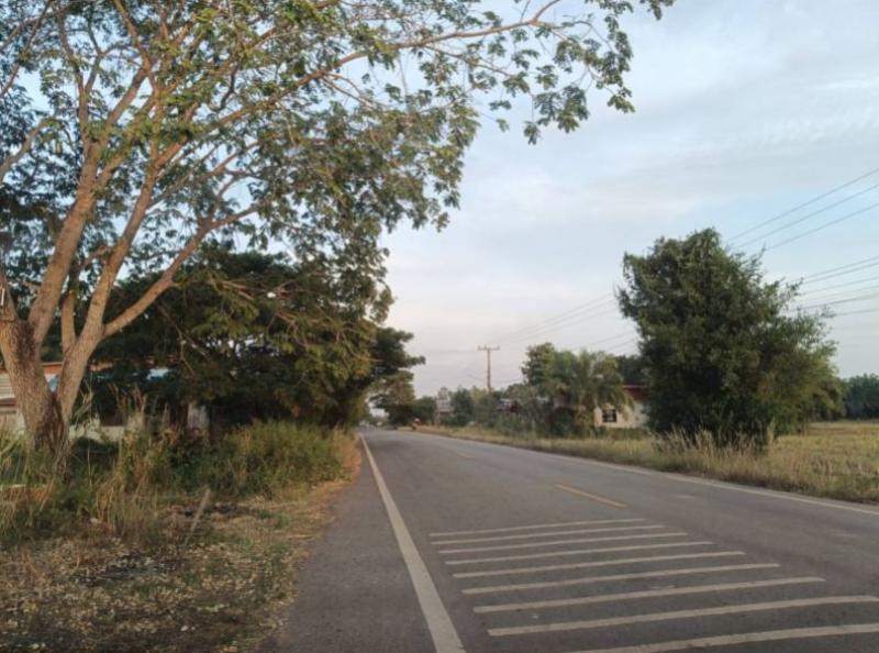 ที่ดิน 300000 หนองคาย ท่าบ่อ นาข่า