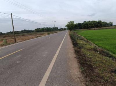 ที่ดิน 290000 หนองคาย ท่าบ่อ บ้านว่าน