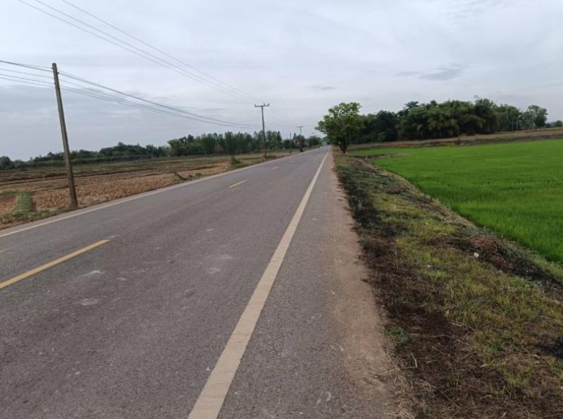 ที่ดิน 290000 หนองคาย ท่าบ่อ บ้านว่าน