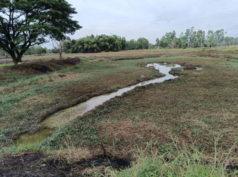 ที่ดิน 290000 หนองคาย ท่าบ่อ บ้านว่าน