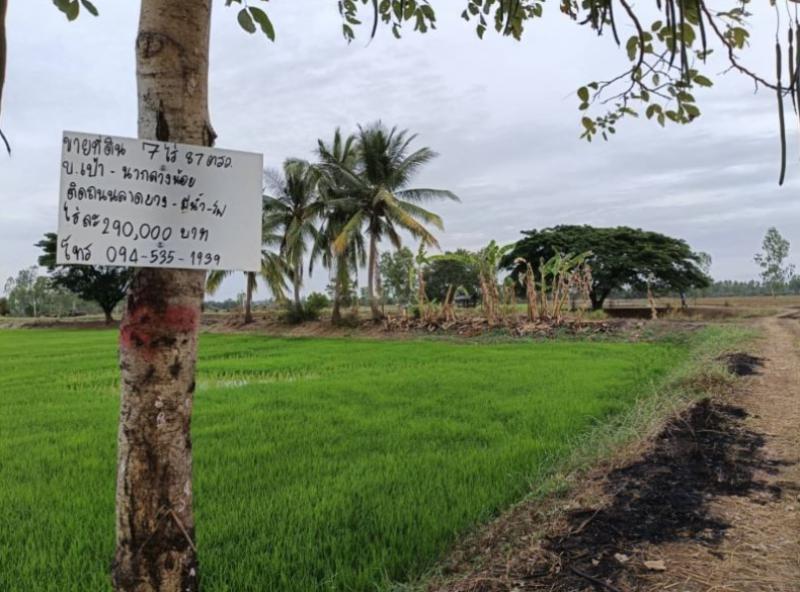 ที่ดิน 290000 หนองคาย ท่าบ่อ บ้านว่าน