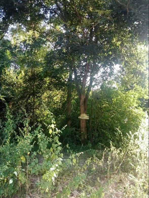 ที่ดิน 390000 อุดรธานี เมืองอุดรธานี หนองไผ่
