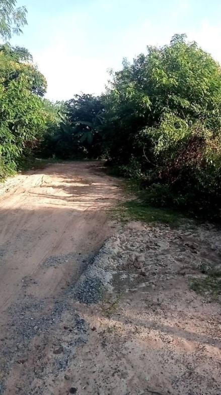 ที่ดิน 390000 อุดรธานี เมืองอุดรธานี หนองไผ่