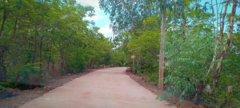 ที่ดิน 390000 อุดรธานี เมืองอุดรธานี หนองไผ่