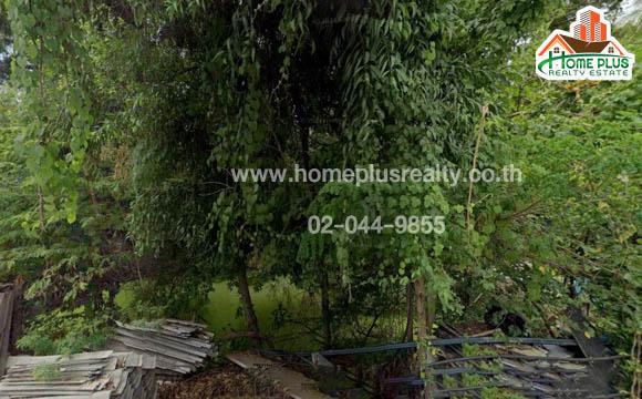 ที่ดิน 1599995 ปทุมธานี ลาดหลุมแก้ว คูบางหลวง