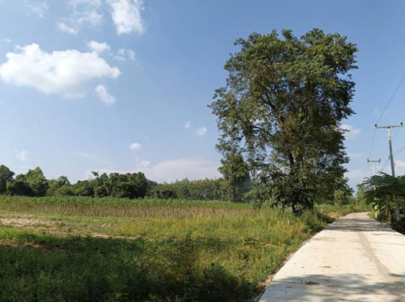 ที่ดิน 350000 หนองคาย ท่าบ่อ นาข่า