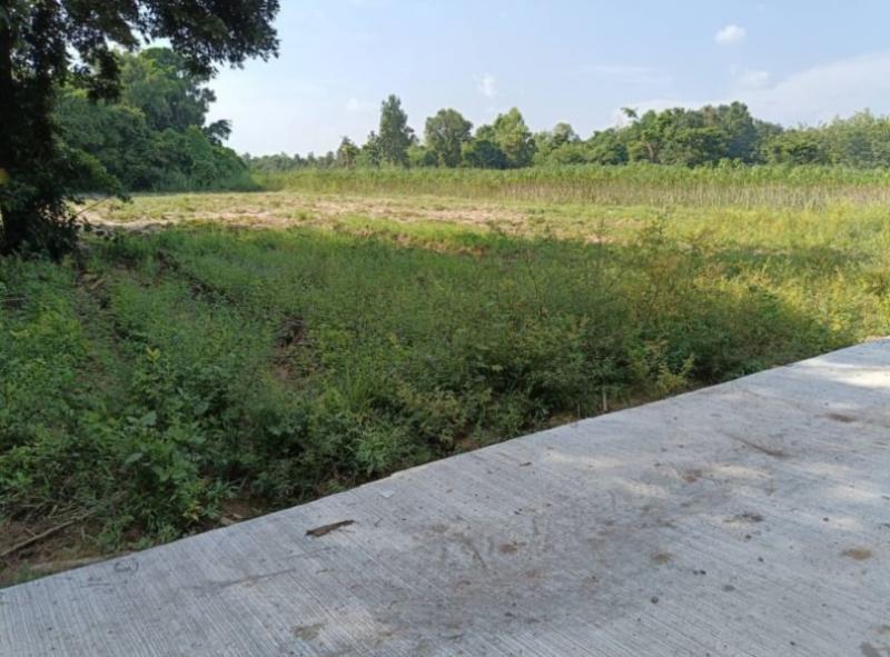 ที่ดิน 350000 หนองคาย ท่าบ่อ นาข่า