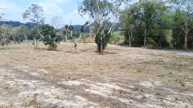 ที่ดิน 1700000 ชลบุรี ศรีราชา บ่อวิน