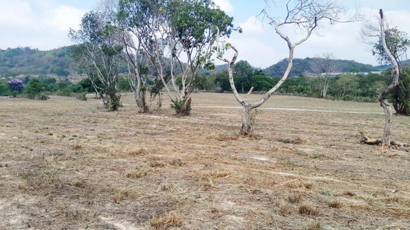 ที่ดิน 1700000 ชลบุรี ศรีราชา บ่อวิน