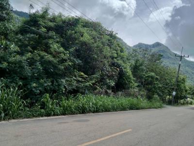 ที่ดิน 4850000 นครราชสีมา ปากช่อง กลางดง