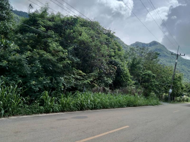 ที่ดิน 4850000 นครราชสีมา ปากช่อง กลางดง