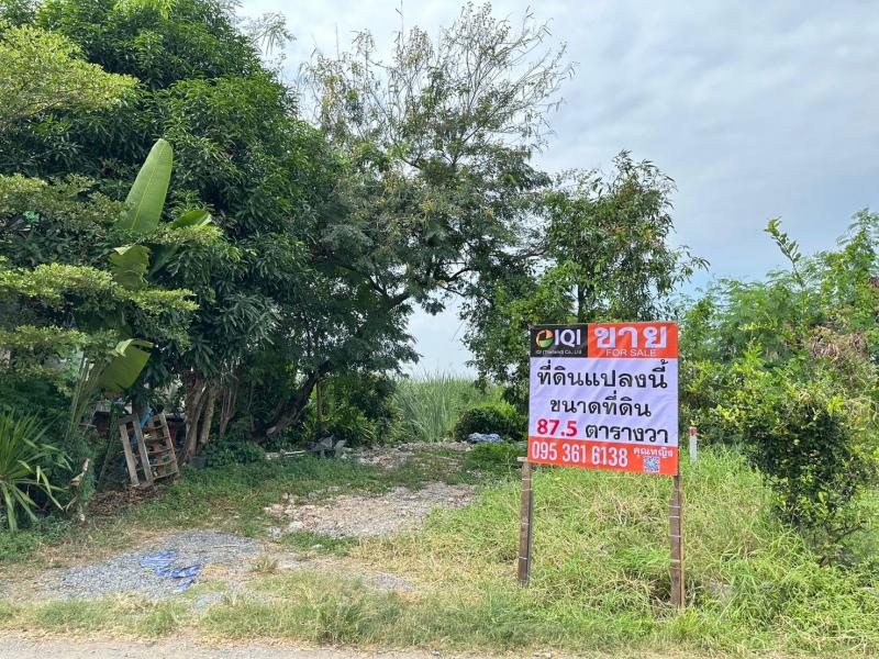 ที่ดิน 2200000 ปทุมธานี ธัญบุรี ประชาธิปัตย์
