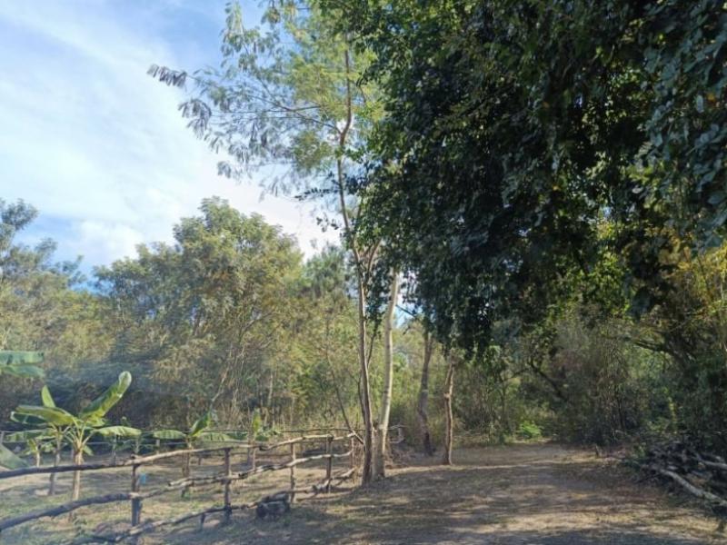 ที่ดิน 199000 อุดรธานี เมืองอุดรธานี โนนสูง