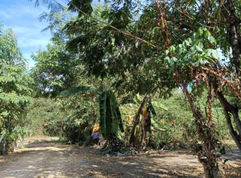 ที่ดิน 199000 อุดรธานี เมืองอุดรธานี โนนสูง