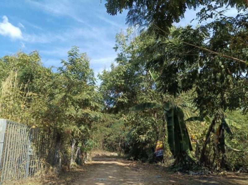 ที่ดิน 199000 อุดรธานี เมืองอุดรธานี โนนสูง