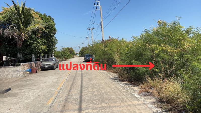 ที่ดิน 66000000 สมุทรปราการ บางบ่อ บางพลีน้อย