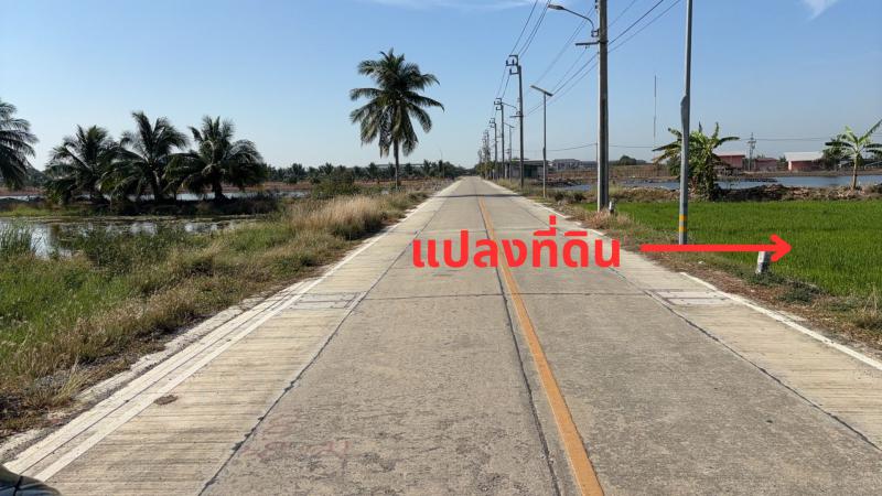 ที่ดิน 33000000 สมุทรปราการ บางบ่อ บางพลีน้อย