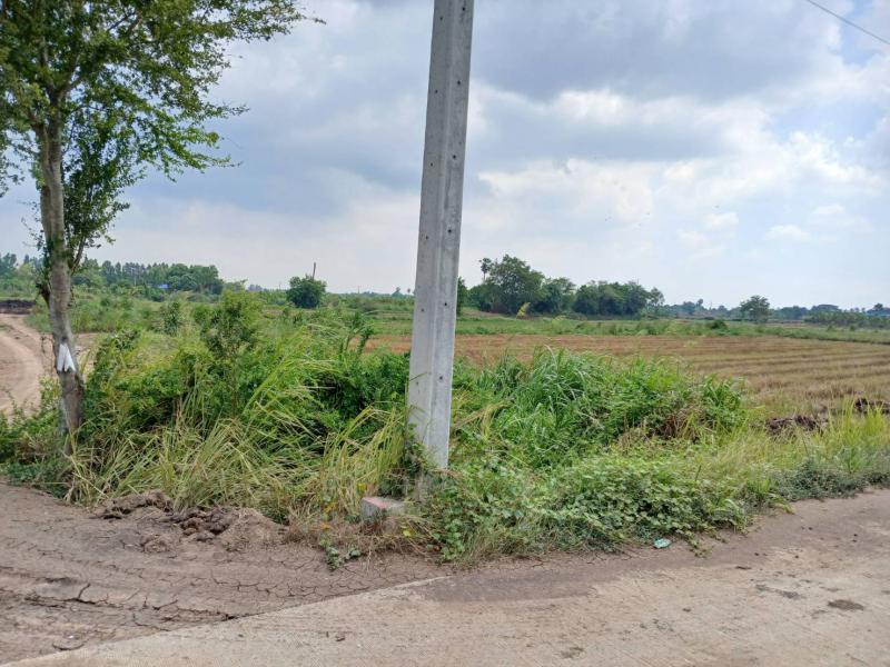ที่ดิน 600000 อ่างทอง เมืองอ่างทอง หัวไผ่