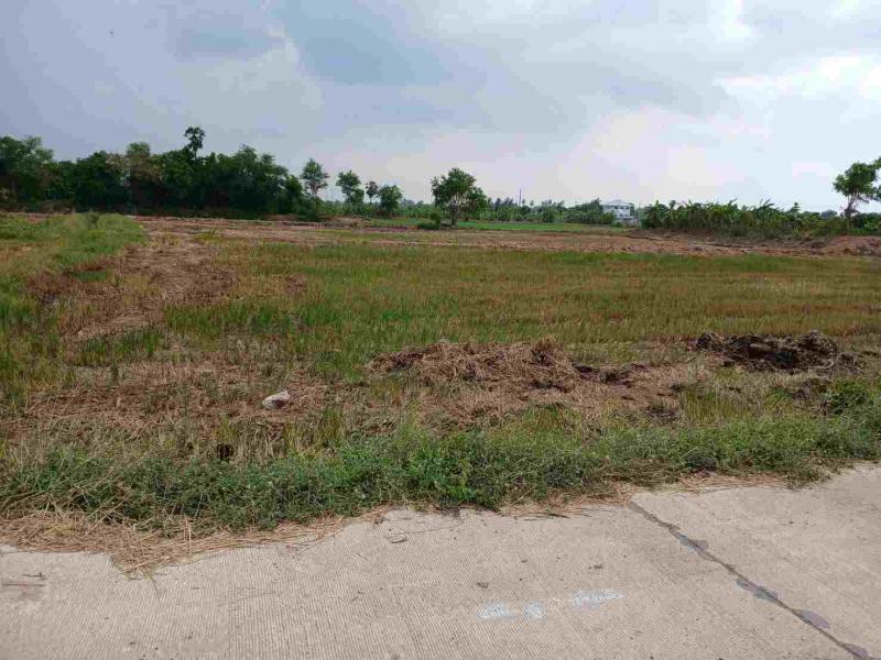 ที่ดิน 600000 อ่างทอง เมืองอ่างทอง หัวไผ่
