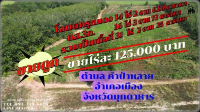ที่ดิน 125000 มุกดาหาร เมืองมุกดาหาร คำป่าหลาย