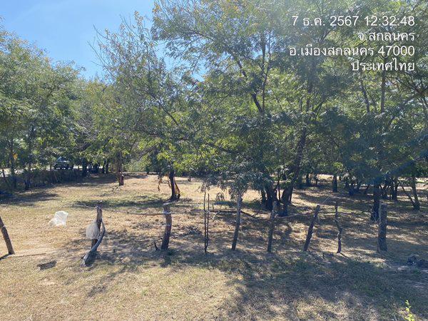 ที่ดิน 12168000 สกลนคร เมืองสกลนคร ห้วยยาง