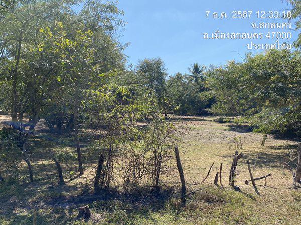 ที่ดิน 12168000 สกลนคร เมืองสกลนคร ห้วยยาง